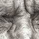 Illustration for article titled Ultra-realistic drawing shows the amazing skills of a 16-year-old girl